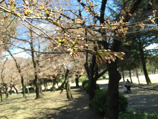 f:id:plusspace:20150326094820j:plain f:id:plusspace:20150326094820j:plain