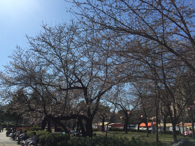 f:id:plusspace:20150326162132j:plain f:id:plusspace:20150326162132j:plain