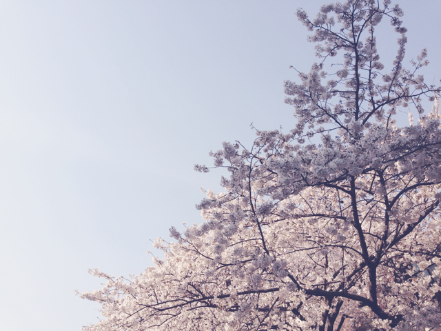 f:id:pmpm09:20140423023619j:plain f:id:pmpm09:20140423023619j:plain