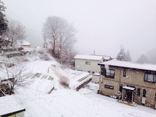 f:id:pmpm09:20150117202439j:plain f:id:pmpm09:20150117202439j:plain
