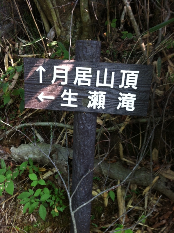 f:id:pnsk:20120908160038j:plain:w250 f:id:pnsk:20120908160038j:plain:w250