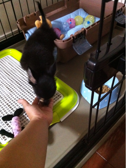 f:id:pnsk:20130905100547j:plain f:id:pnsk:20130905100547j:plain