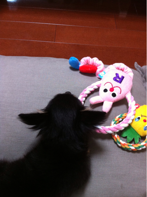 f:id:pnsk:20130907234349j:plain f:id:pnsk:20130907234349j:plain