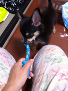 f:id:pnsk:20130910093650j:plain f:id:pnsk:20130910093650j:plain