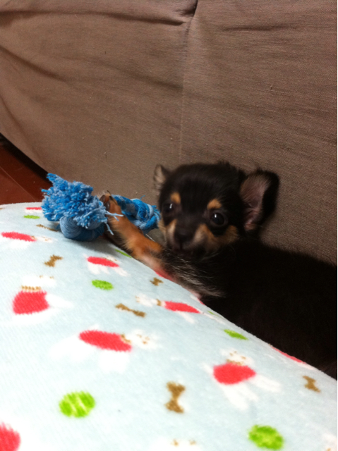 f:id:pnsk:20130910093930j:plain f:id:pnsk:20130910093930j:plain