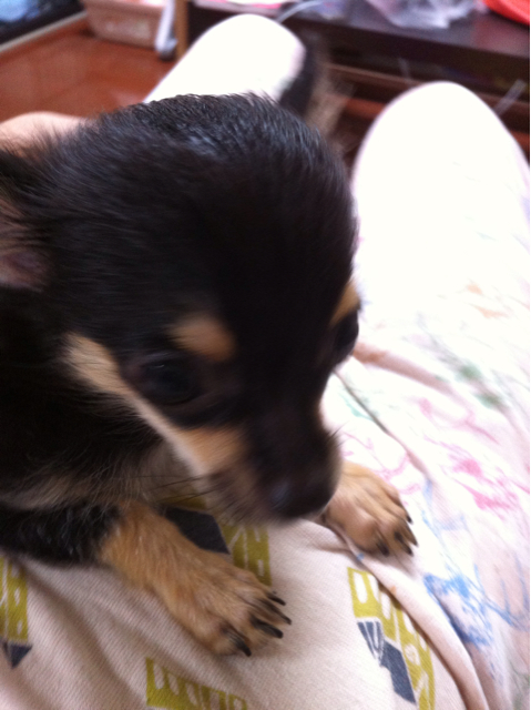 f:id:pnsk:20130910230828j:plain f:id:pnsk:20130910230828j:plain