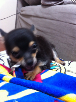 f:id:pnsk:20130912084407j:plain f:id:pnsk:20130912084407j:plain