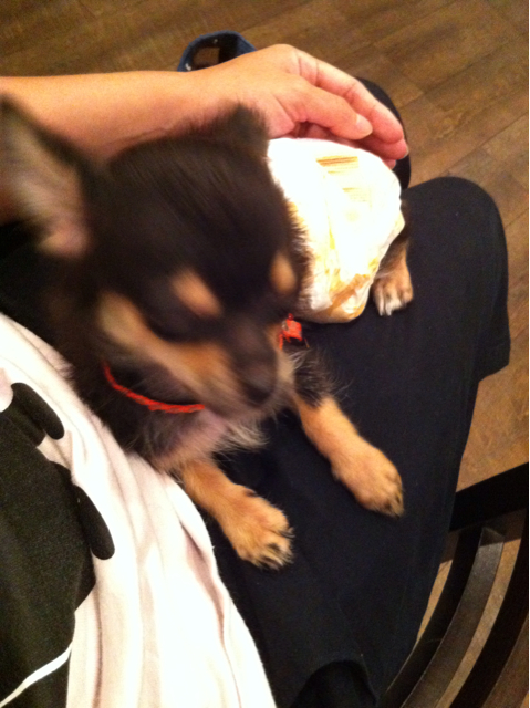 f:id:pnsk:20130915233013j:plain f:id:pnsk:20130915233013j:plain