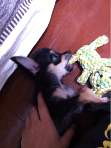 f:id:pnsk:20130918093121j:plain f:id:pnsk:20130918093121j:plain