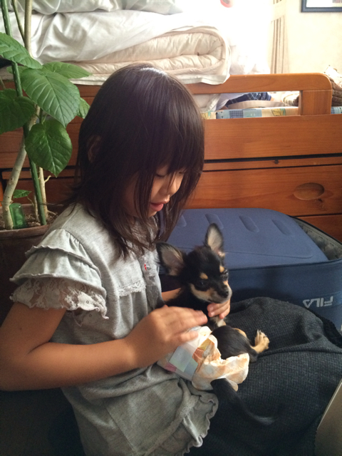 f:id:pnsk:20131006004019j:plain f:id:pnsk:20131006004019j:plain