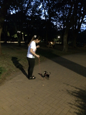 f:id:pnsk:20131013135142j:plain f:id:pnsk:20131013135142j:plain