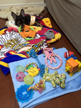 f:id:pnsk:20131013135631j:plain f:id:pnsk:20131013135631j:plain