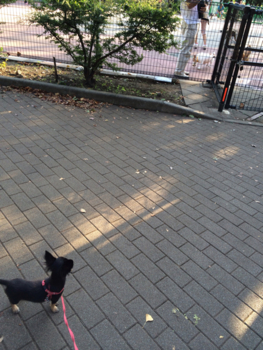 f:id:pnsk:20131014103501j:plain f:id:pnsk:20131014103501j:plain