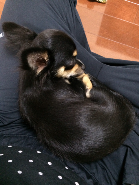 f:id:pnsk:20131020232722j:plain f:id:pnsk:20131020232722j:plain
