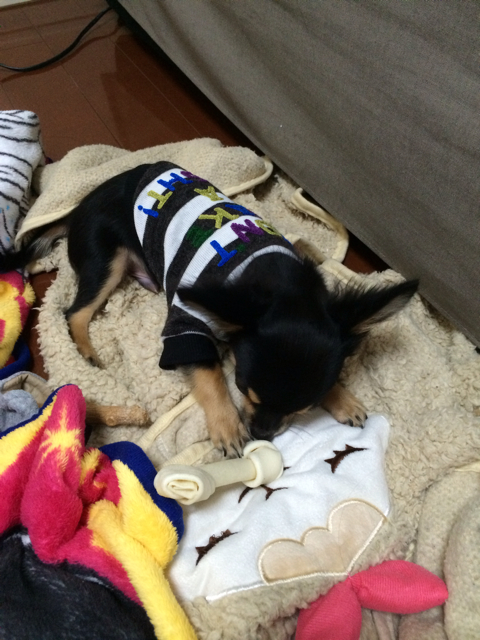 f:id:pnsk:20131021204041j:plain f:id:pnsk:20131021204041j:plain