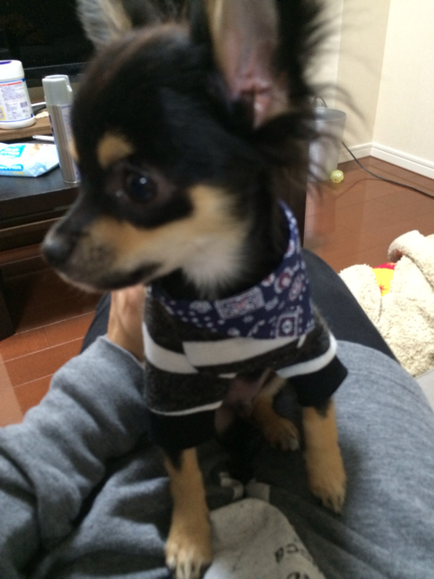 f:id:pnsk:20131023095521j:plain f:id:pnsk:20131023095521j:plain
