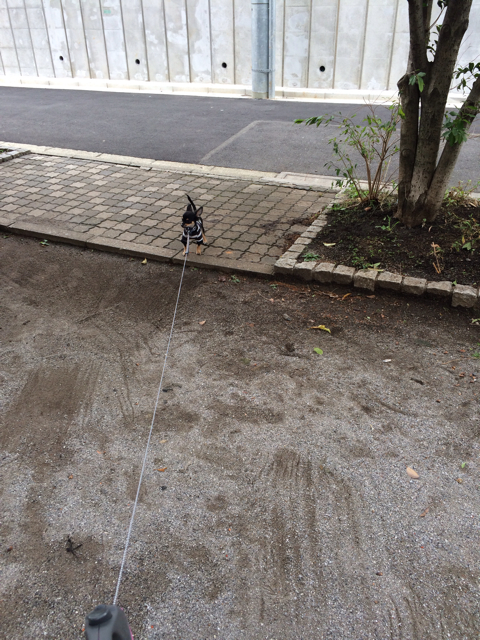 f:id:pnsk:20131023095550j:plain f:id:pnsk:20131023095550j:plain