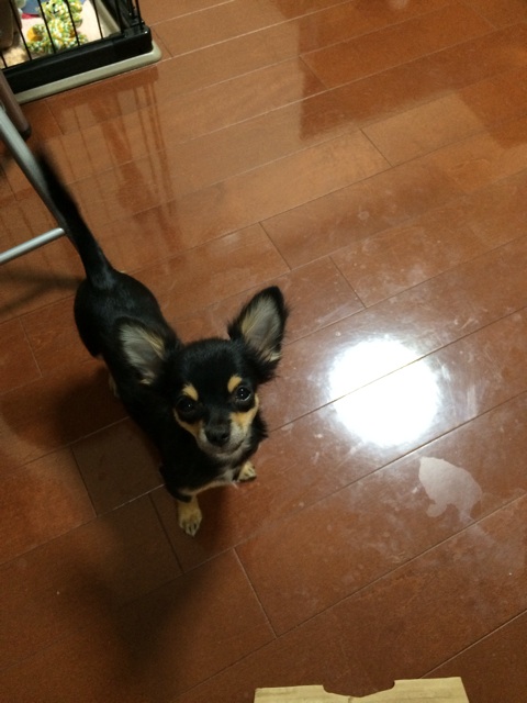 f:id:pnsk:20131106080214j:plain f:id:pnsk:20131106080214j:plain