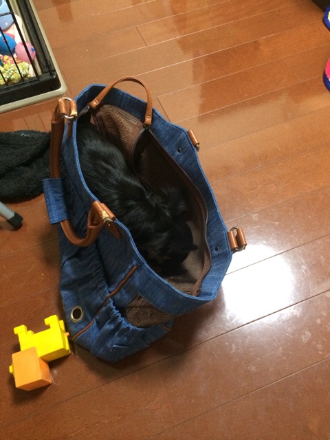 f:id:pnsk:20131108203417j:plain f:id:pnsk:20131108203417j:plain