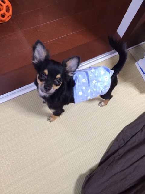 f:id:pnsk:20131109222521j:plain f:id:pnsk:20131109222521j:plain