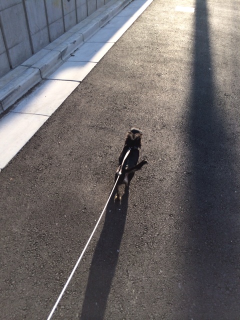 f:id:pnsk:20131118002523j:plain f:id:pnsk:20131118002523j:plain