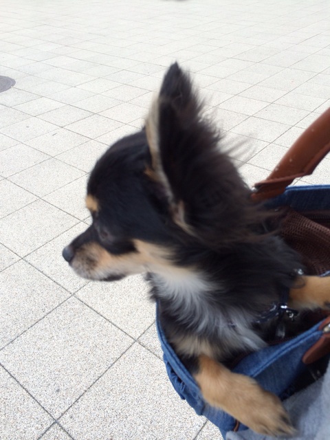 f:id:pnsk:20131208203828j:plain f:id:pnsk:20131208203828j:plain