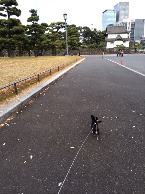 f:id:pnsk:20131208204106j:plain f:id:pnsk:20131208204106j:plain