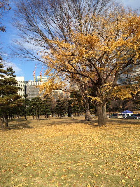 f:id:pnsk:20131208204128j:plain f:id:pnsk:20131208204128j:plain