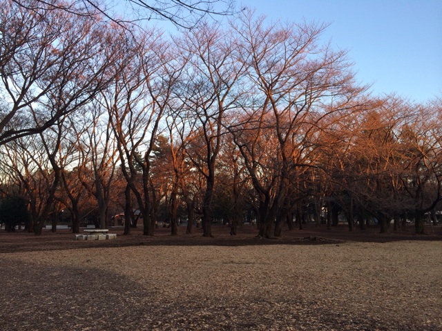 f:id:pnsk:20131222004330j:plain f:id:pnsk:20131222004330j:plain
