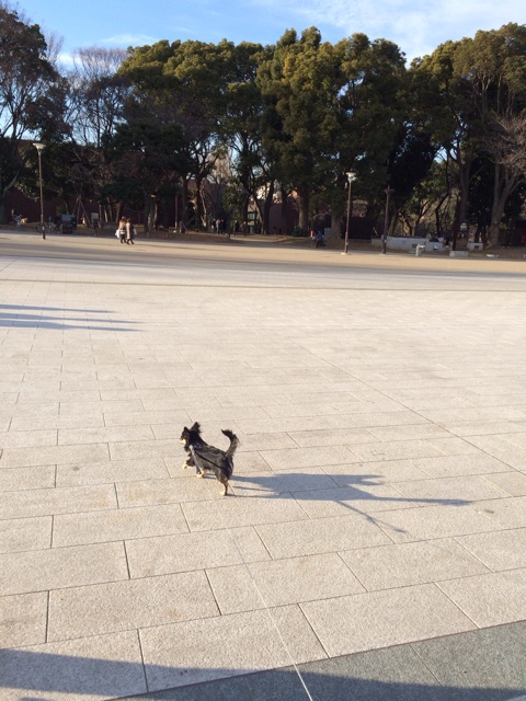 f:id:pnsk:20131230233745j:plain f:id:pnsk:20131230233745j:plain