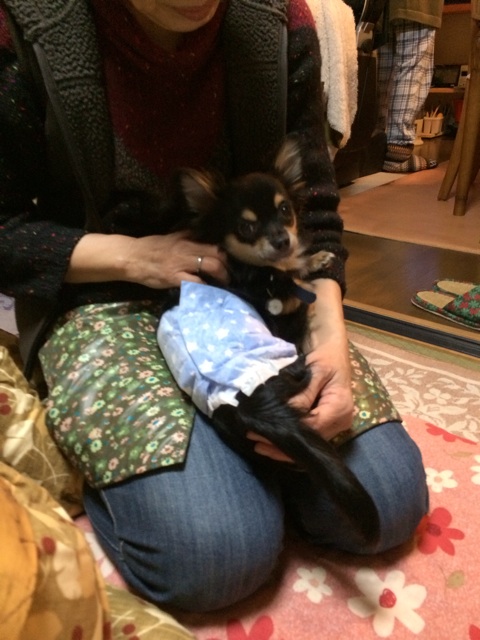 f:id:pnsk:20131230233905j:plain f:id:pnsk:20131230233905j:plain