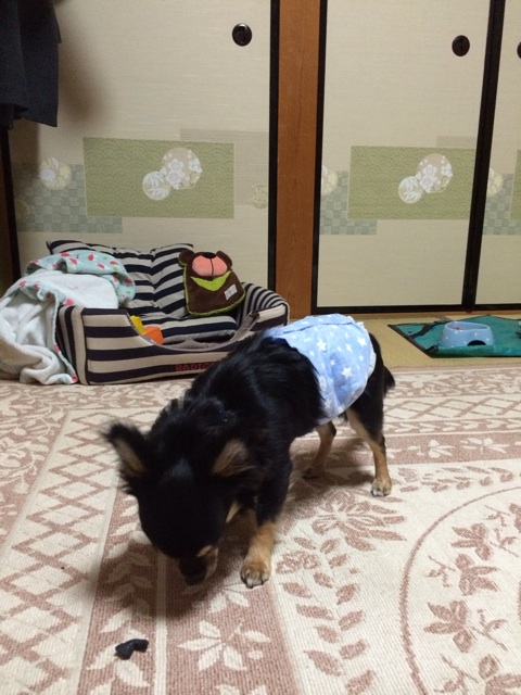 f:id:pnsk:20131230234106j:plain f:id:pnsk:20131230234106j:plain