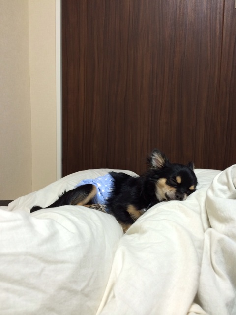 f:id:pnsk:20140104215645j:plain f:id:pnsk:20140104215645j:plain