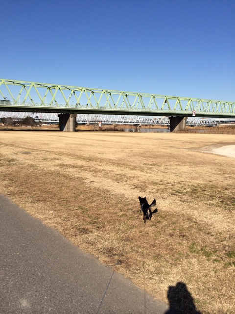 f:id:pnsk:20140112022102j:plain f:id:pnsk:20140112022102j:plain