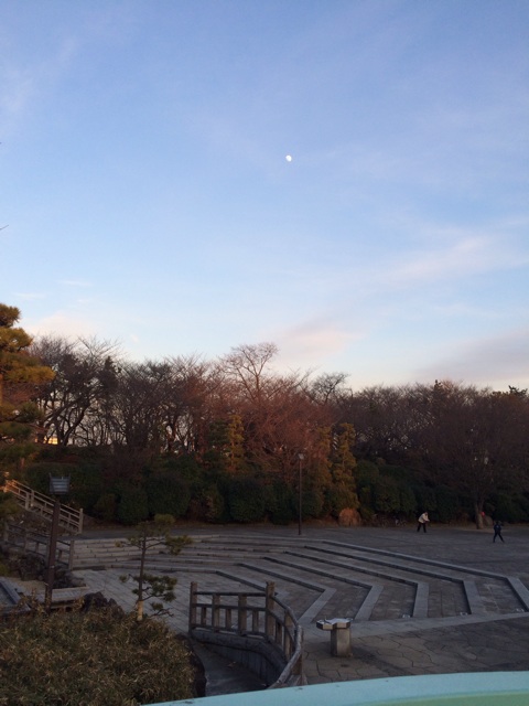 f:id:pnsk:20140113003009j:plain f:id:pnsk:20140113003009j:plain