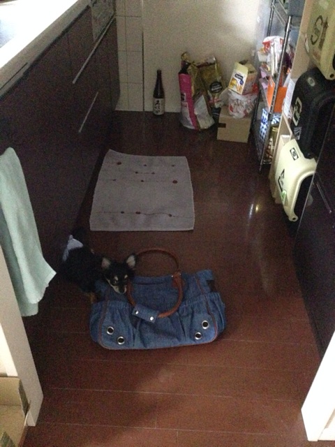 f:id:pnsk:20140118204239j:plain f:id:pnsk:20140118204239j:plain