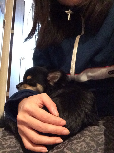 f:id:pnsk:20140120083724j:plain f:id:pnsk:20140120083724j:plain