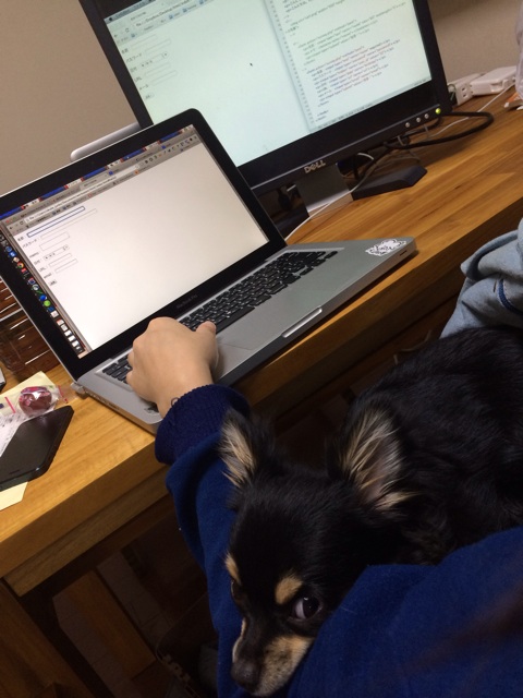 f:id:pnsk:20140120083844j:plain f:id:pnsk:20140120083844j:plain