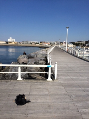 f:id:pnsk:20140223000248j:plain f:id:pnsk:20140223000248j:plain