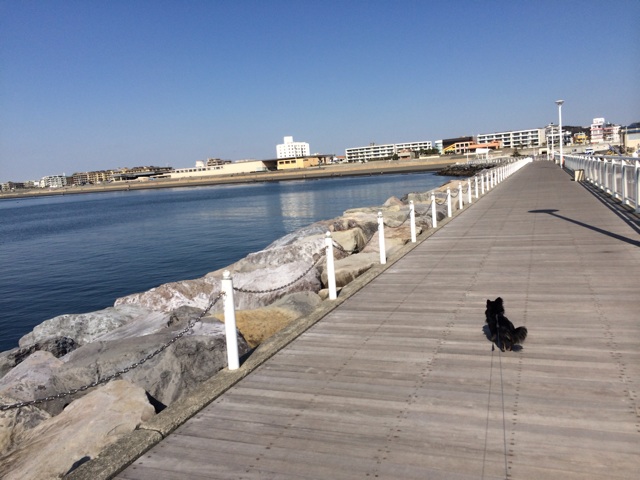 f:id:pnsk:20140223000329j:plain f:id:pnsk:20140223000329j:plain