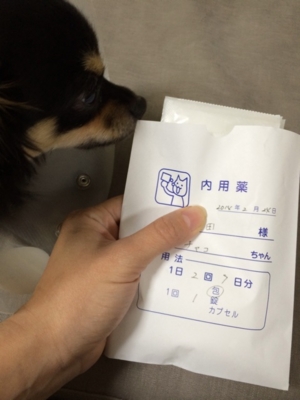 f:id:pnsk:20140224222944j:plain f:id:pnsk:20140224222944j:plain