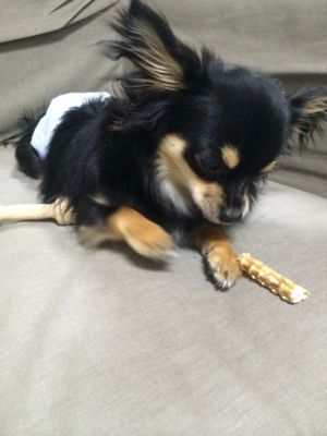 f:id:pnsk:20140306230033j:plain f:id:pnsk:20140306230033j:plain