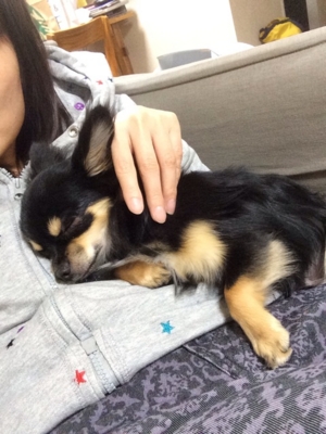 f:id:pnsk:20140323010914j:plain f:id:pnsk:20140323010914j:plain