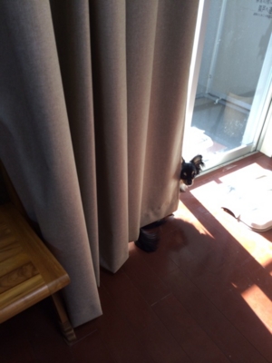 f:id:pnsk:20140325025907j:plain f:id:pnsk:20140325025907j:plain