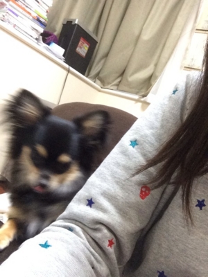 f:id:pnsk:20140325030646j:plain f:id:pnsk:20140325030646j:plain