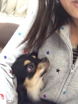 f:id:pnsk:20140325030737j:plain f:id:pnsk:20140325030737j:plain