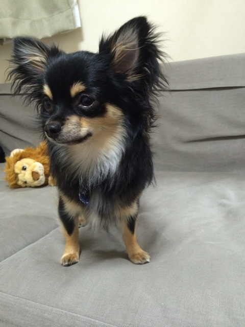 f:id:pnsk:20140406015559j:plain f:id:pnsk:20140406015559j:plain