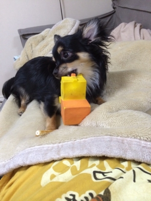 f:id:pnsk:20140415002950j:plain f:id:pnsk:20140415002950j:plain