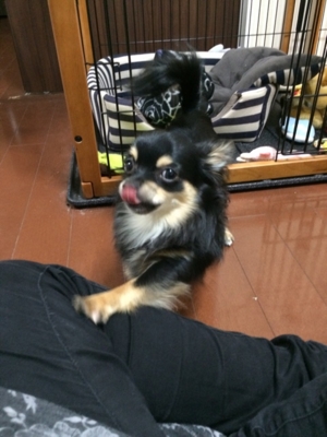 f:id:pnsk:20140416100835j:plain f:id:pnsk:20140416100835j:plain