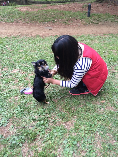 f:id:pnsk:20140421005639j:plain f:id:pnsk:20140421005639j:plain